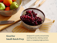 Small Stainless Steel Strainer